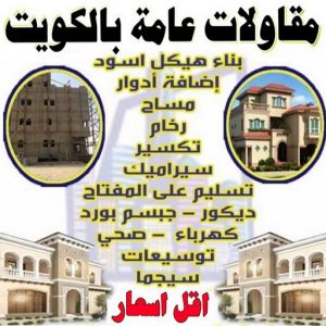 مقاولات عامة