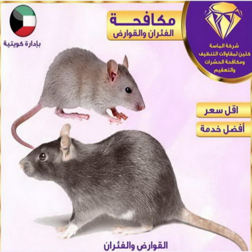 مكافحة حشرات - شاهين📞65776377 - شركة مكافحة حشرات - مكافحة حشرات وقوارض - مكافحة بق - رش صراصير - مكافحة نمل - شركة حشرات - مكافحة فئران