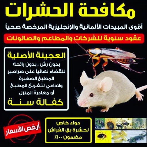 مكافحة حشرات الجهراء - مكافحة حشرات وقوارض الجهراء - علي📞55829291 - شركة حشرات - شركة مكافحة حشرات - مكافحة بق - مكافحة قوارض - مكافحة حشرات الكويت